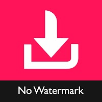 Video Downloader for TikTok - No Watermark TikMate