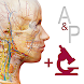解剖学的構造と生理学 - Androidアプリ