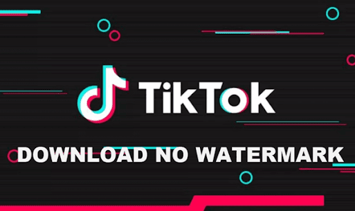 Free Mod Nowatermark TikTok Downloader 2