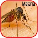 Malaria Disease Problem icon