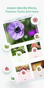 LeafSnap – Plant Identification 3