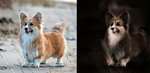 Relight AI Illuminate images