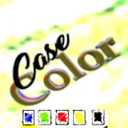 Color Case puzzle game classic