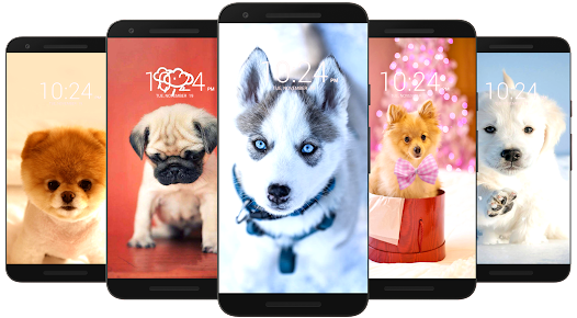 Dog Wallpaper HD android2mod screenshots 9