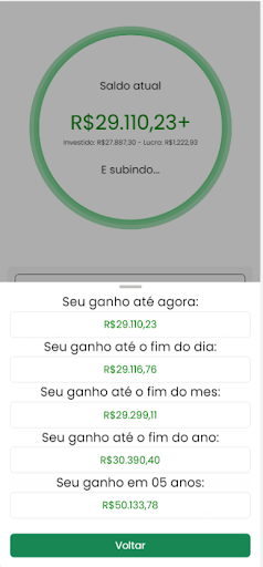 Relógio Financeiro Screen 2
