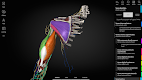 screenshot of Anatomyka - 3D Anatomy Atlas