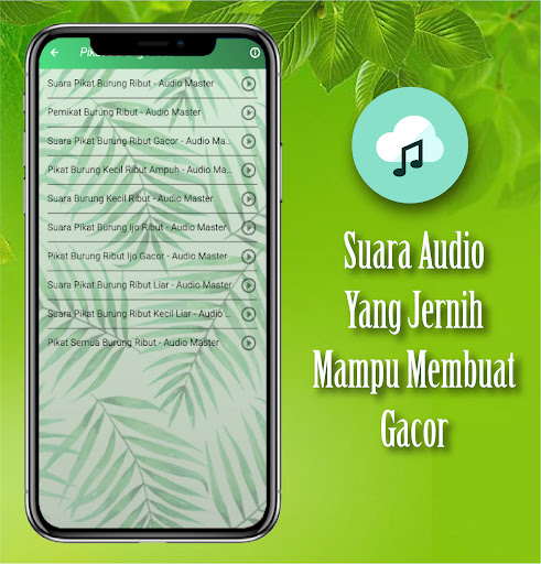 Suara Burung Ribut Pikat