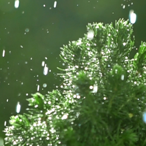 slow motion wallpaper logo