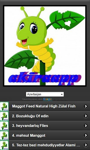 Download Maggot Cultivation Free For Android Maggot Cultivation Apk Download Steprimo Com