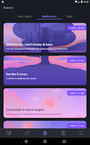 Immagine screenshot