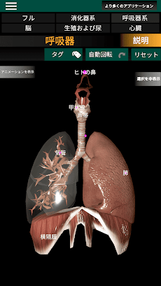 3D内臓（解剖学）のおすすめ画像2