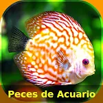 Cover Image of Télécharger Peces de Acuario  APK