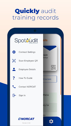 Spot Audit Screen 3