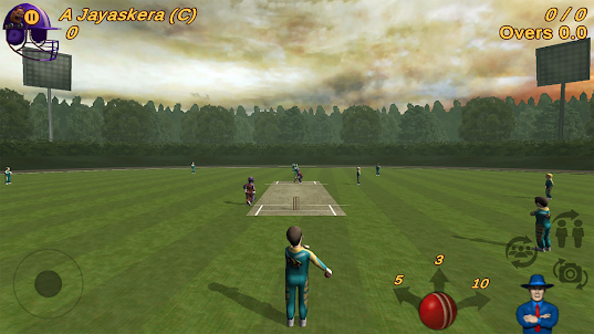 Cricket Evolution Pro