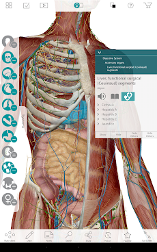 Human Anatomy Atlas 7-Springerのおすすめ画像2