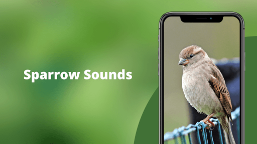 Android application Sparrow Sounds - Sparrow Calls screenshort