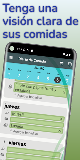 Vista previa de la aplicación