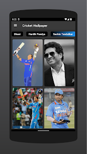 Cricket Wallpaper - IPL