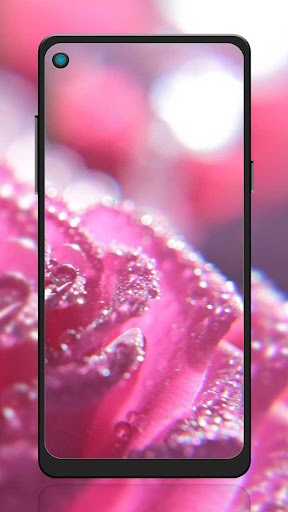 Glitter Zipper Lock Screen