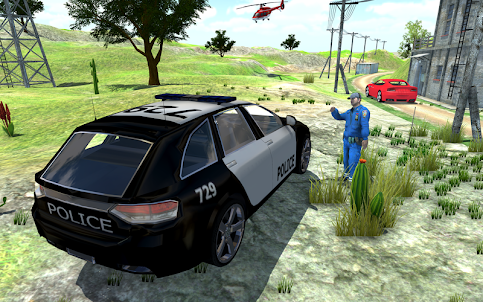 Police Car Game