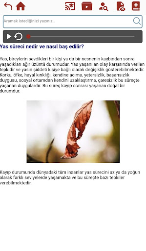 Gebelik Kaybı Destek Programı Screen 3