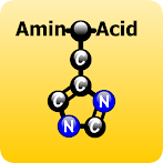 Amino Acids Match Game