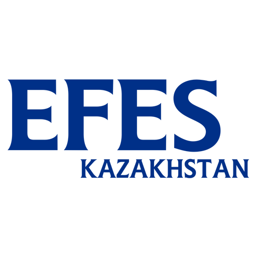 EFES E-Partner SCS logo