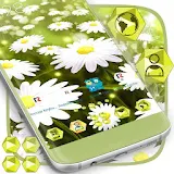 Free Flowers Theme for Android icon
