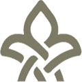 Download Palatine Travel Live 2.2.2 Apk for android