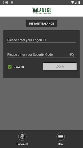 Laneco Federal Credit Union Screen 2