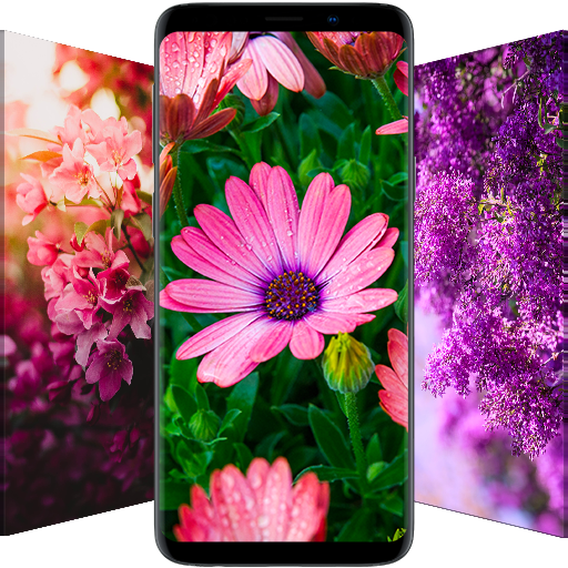 Flower Wallpapers - Flowrify 5.0.49 Icon