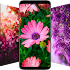 Flower Wallpapers in HD, 4K5.0.49 (Premium)