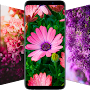 Flower Wallpapers - Flowrify