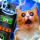 Cat simulator: stunner icon