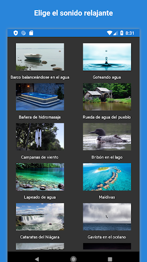 Vista previa de la aplicación