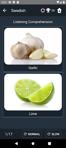 Screenshot of Swedish Language Tests