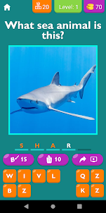 Guess The Sea Animal Game
