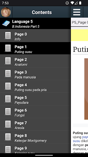 Pratinjau aplikasi