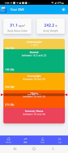 Simple Weight and BMI Tracker Screen 2