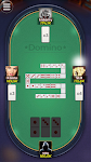 screenshot of Domino