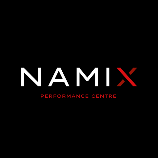 Namix logo
