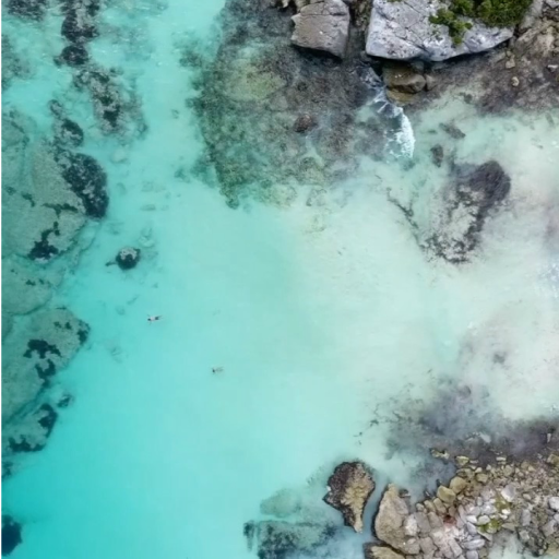 Paradise Live Wallpaper Pro logo