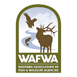 WAFWA Conference 2017 icon