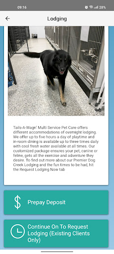 Tails-A-Wagn Screen 3