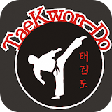 Tae Kwon Do Guide icon
