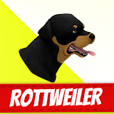 Rottweiler Dogs icon