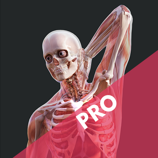 Human Anatomy VR AR MR App 2.0.1 Icon