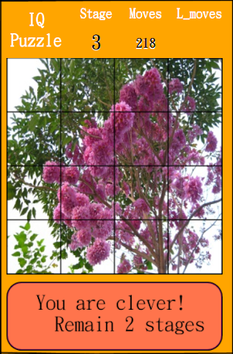 IQ Puzzle 闖五關智慧盤 Screenshot 2 - AppWisp.com