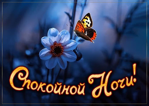 Android application Спокойной ночи screenshort