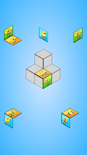 Cubic Conundrum